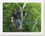 03 Marty in the Hackberry * 1413 x 1100 * (461KB)